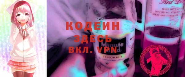 индика Каменск-Шахтинский