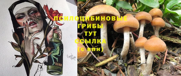 прущие грибы Инсар