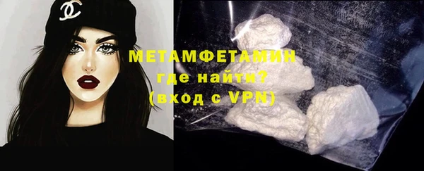 прущие грибы Инсар
