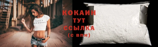 прущие грибы Инсар