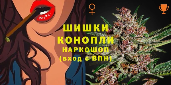 стаф Иннополис