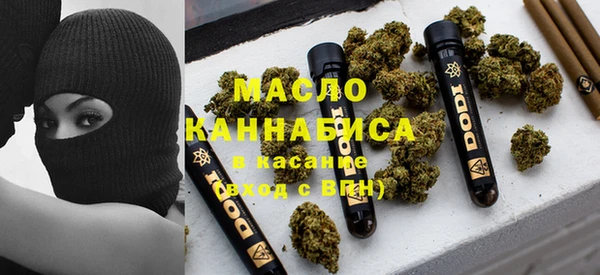 индика Каменск-Шахтинский