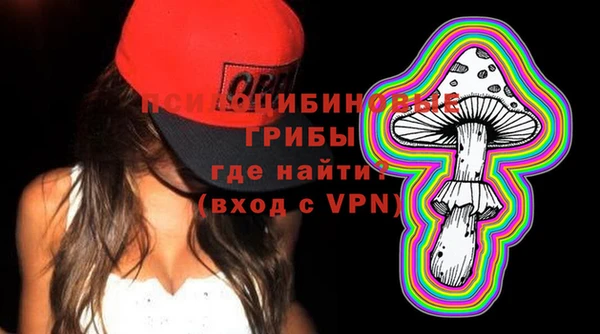 прущие грибы Инсар