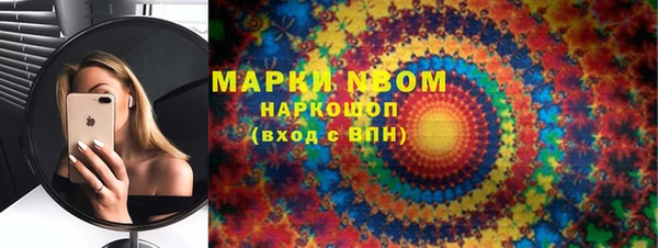 прущие грибы Инсар