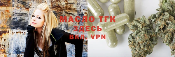 прущие грибы Инсар