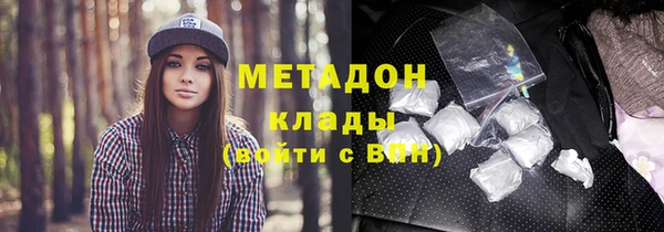 прущие грибы Инсар