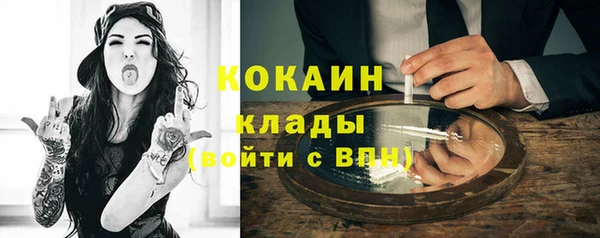 прущие грибы Инсар