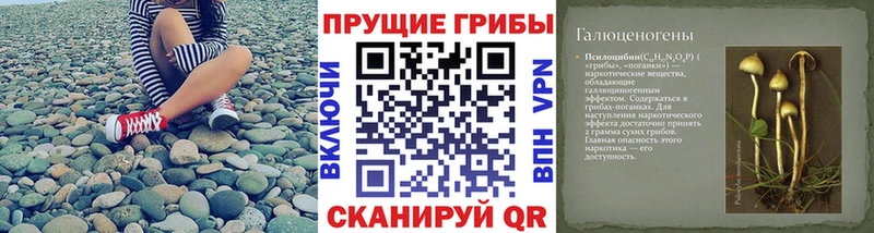 Купить закладки  Новосокольники  Псилоцибиновые грибы ЛСД 