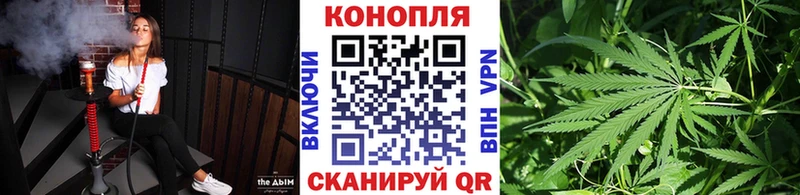 Канабис гибрид  Купить закладки  Новосокольники 